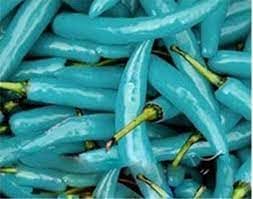 Blue Jolokia Capsicum chinense seeds for garden planting